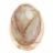 Яйцо из камня оникс 5х7 см (2х3)