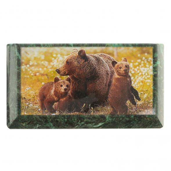 Шкатулка с иллюстрацией &amp;quot;Медведица с медвежатами&amp;quot; камень змеевик 17,5х9,5х7,5 см / шкатулка для ювелирных украшений / для хранения бижутерии / подарок коллеге